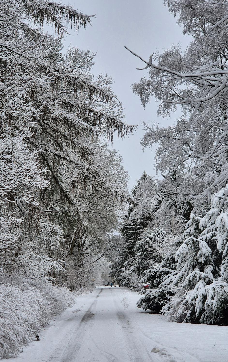 Natural landscape, Winter, Location