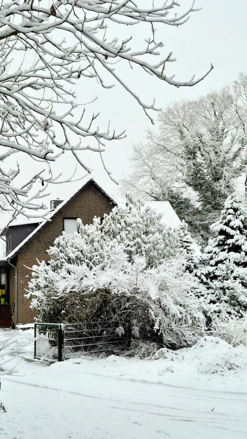 Property building, Winter