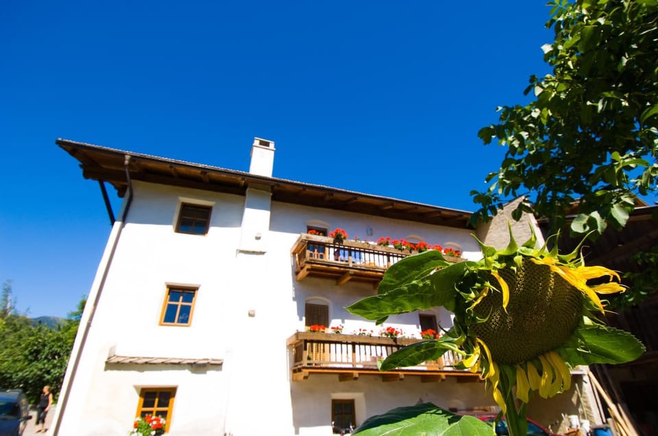 Sonnenheimhof Farm Stay in Trentino-South Tyrol