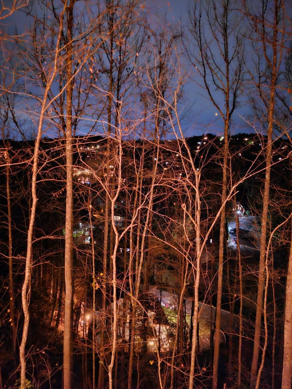 View (from property/room)