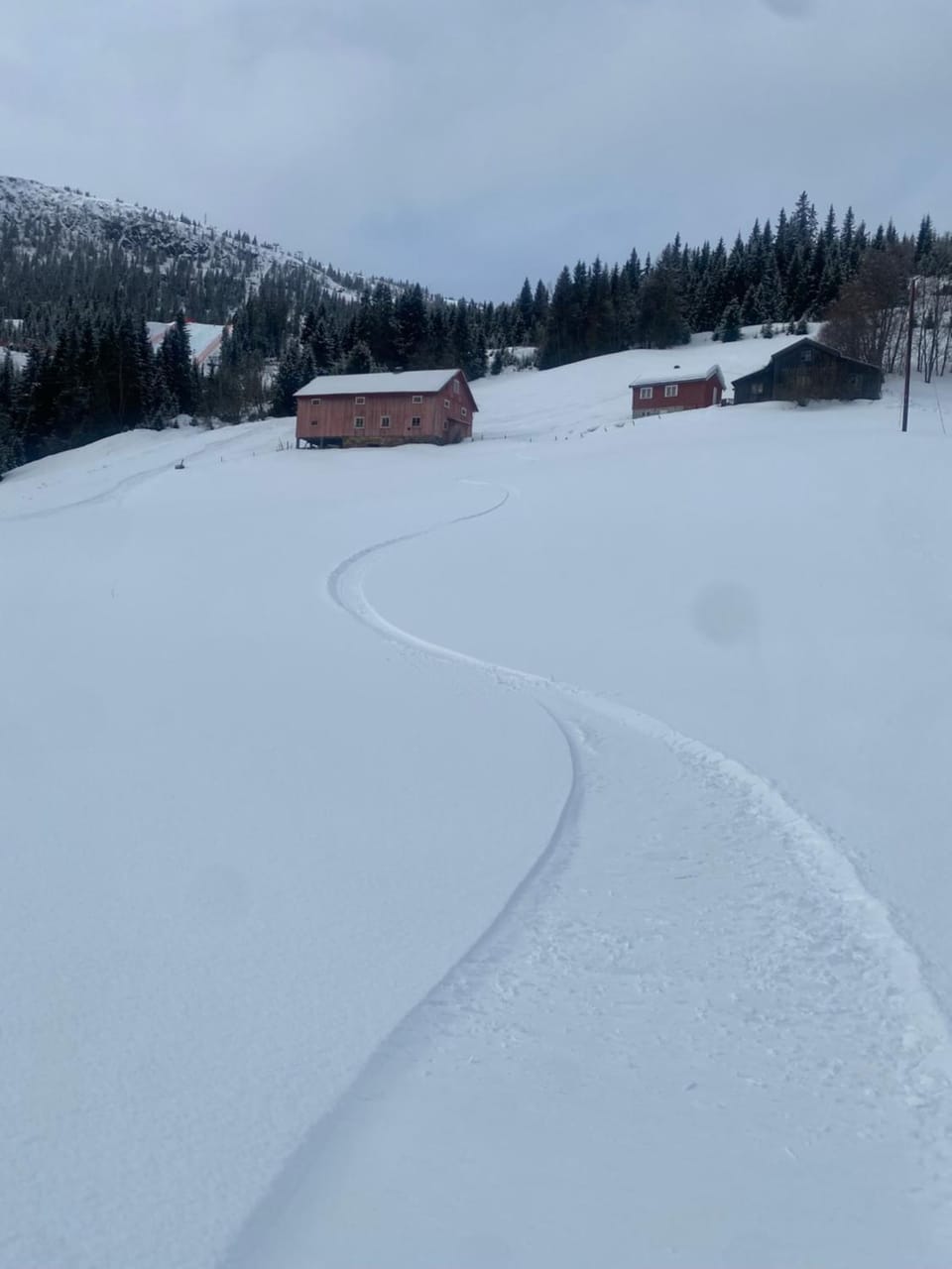 Neighbourhood, Activities, Sports