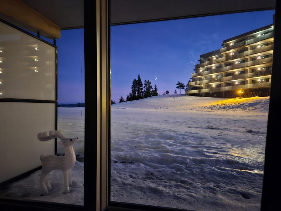 Night, Winter