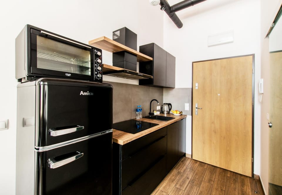 LOFT 2 in the City Center- parking, wifi, 24h check-in Apartment in Wroclaw