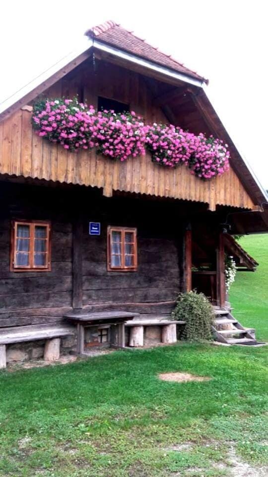Rustic home Mia Bed and Breakfast in Croatia
