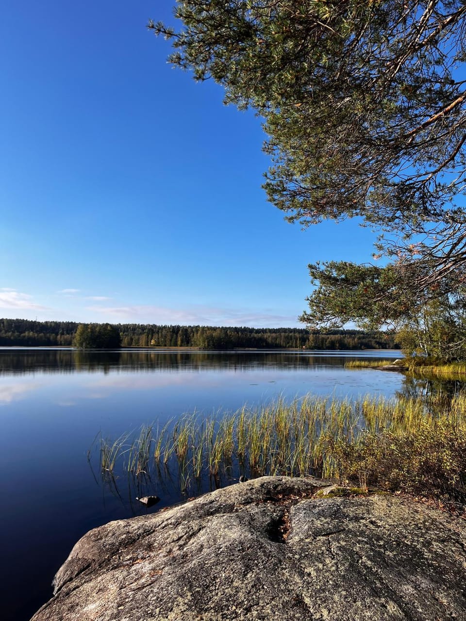 Lake view