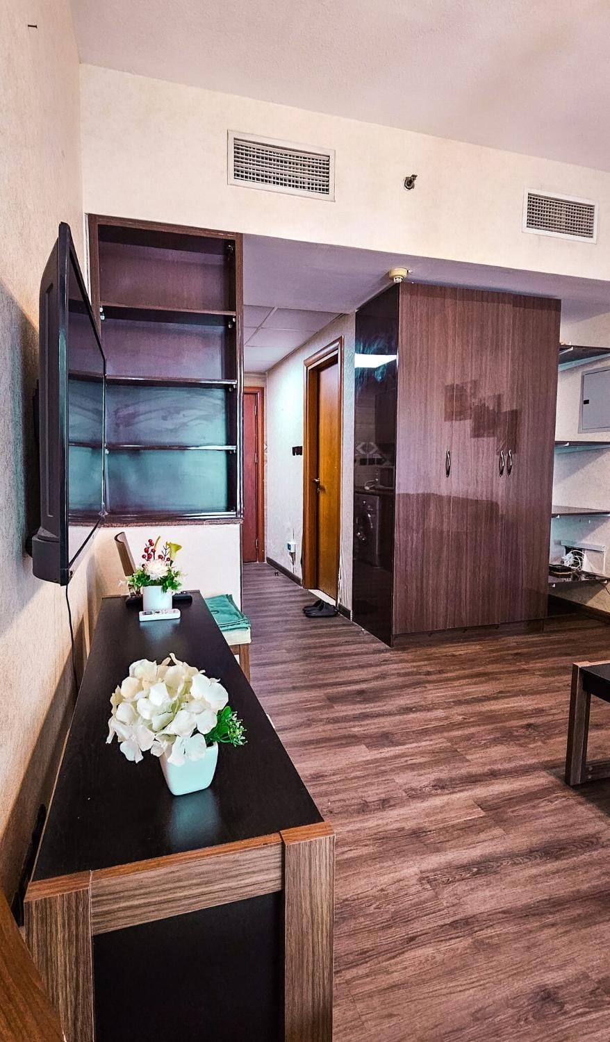 Living room, wardrobe, air conditioner