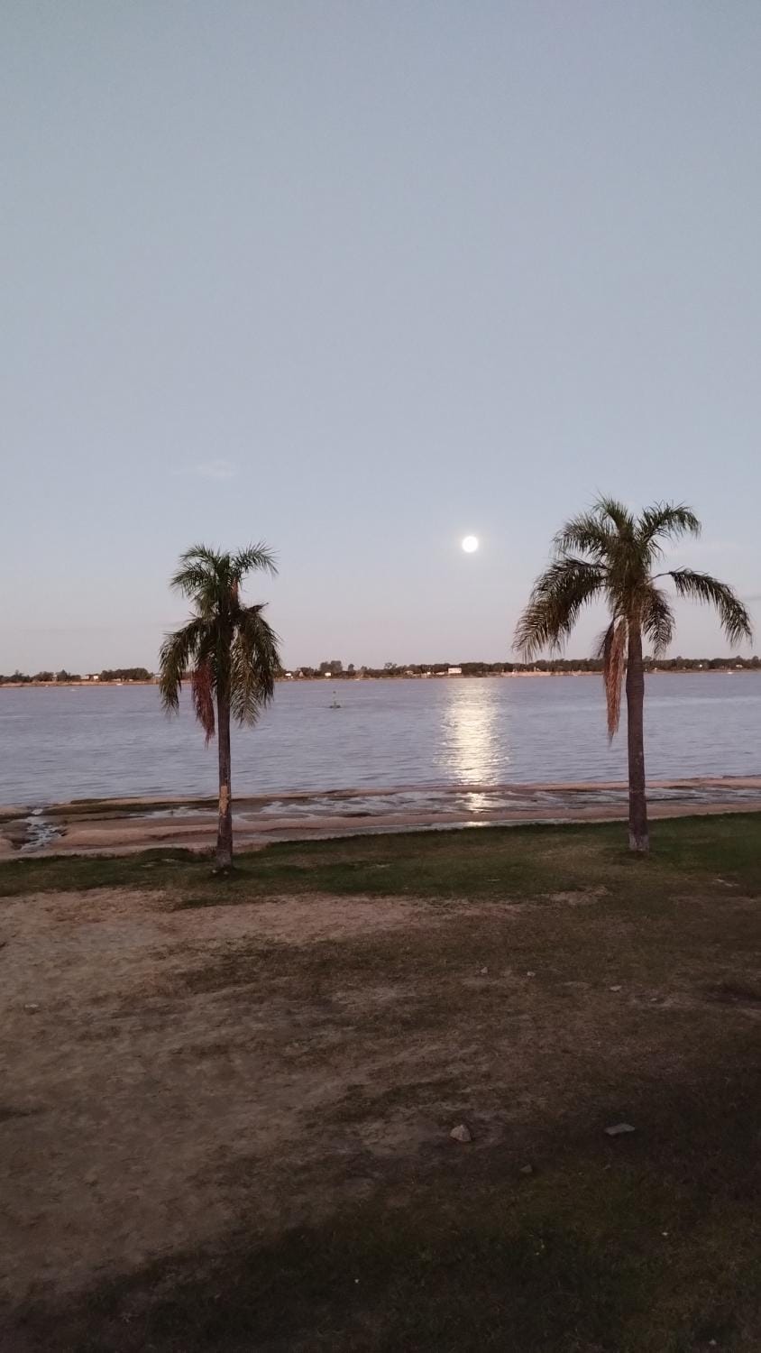 Armonia Apartment in Rosario