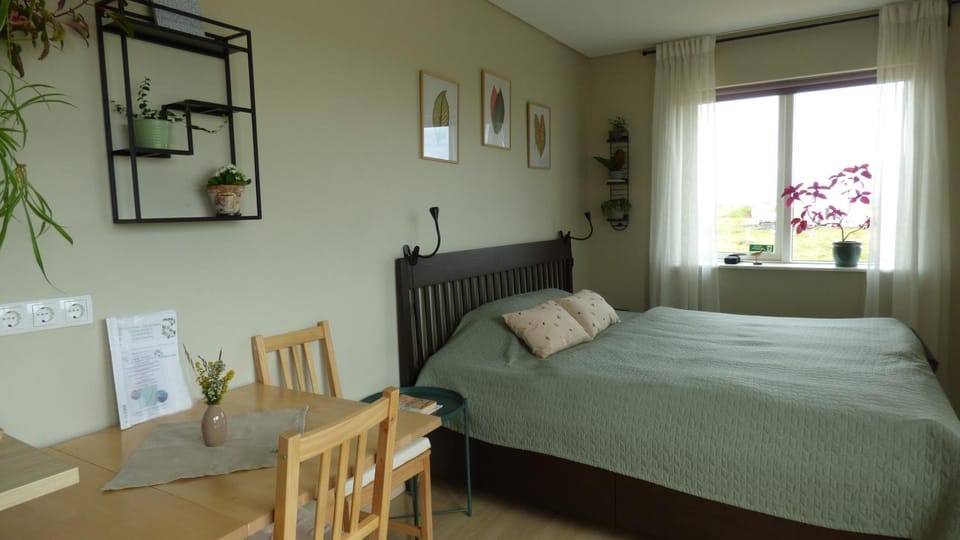 Bed, Dining area