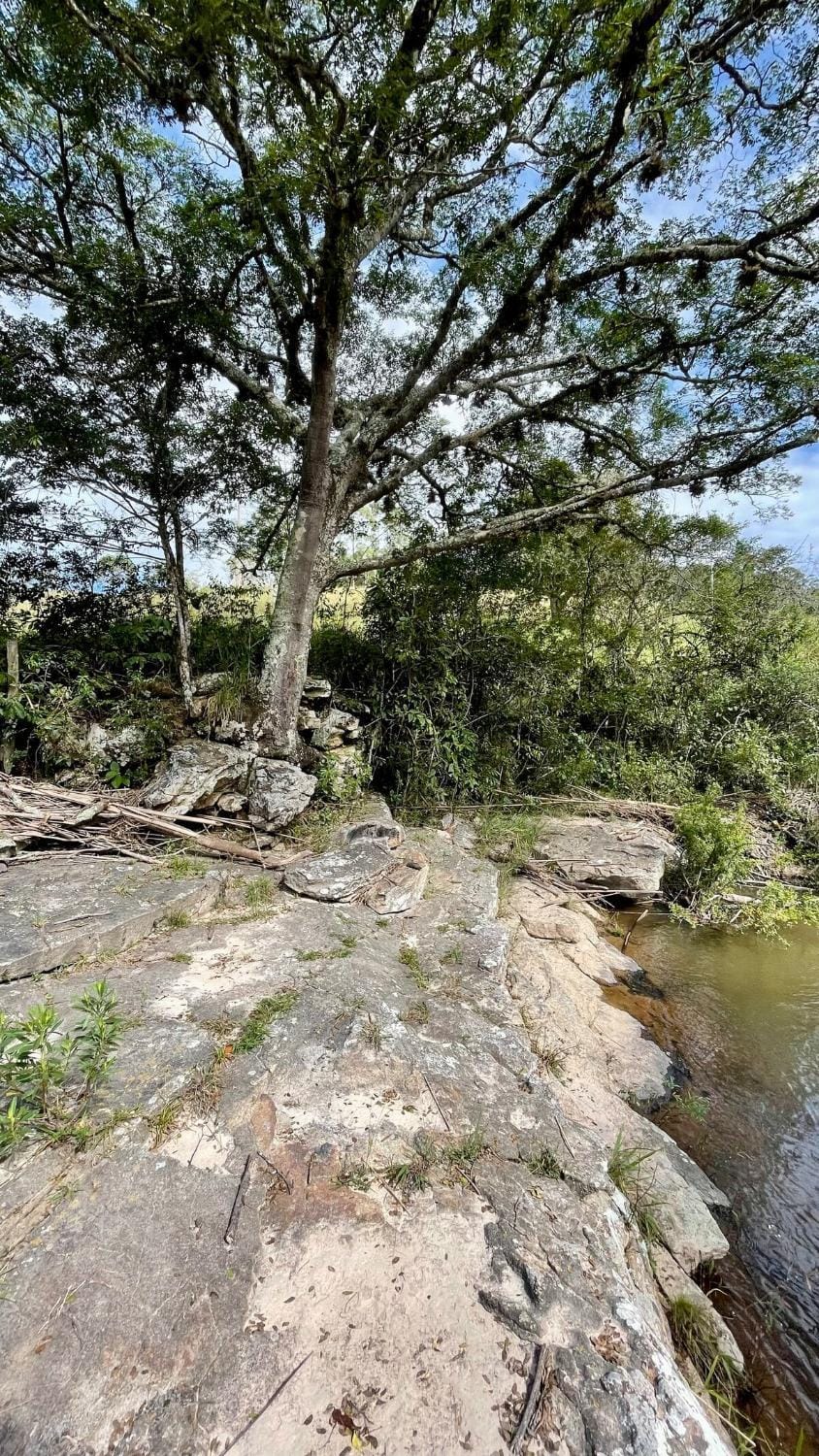 Nearby landmark, Spring, Day, Natural landscape, River view
