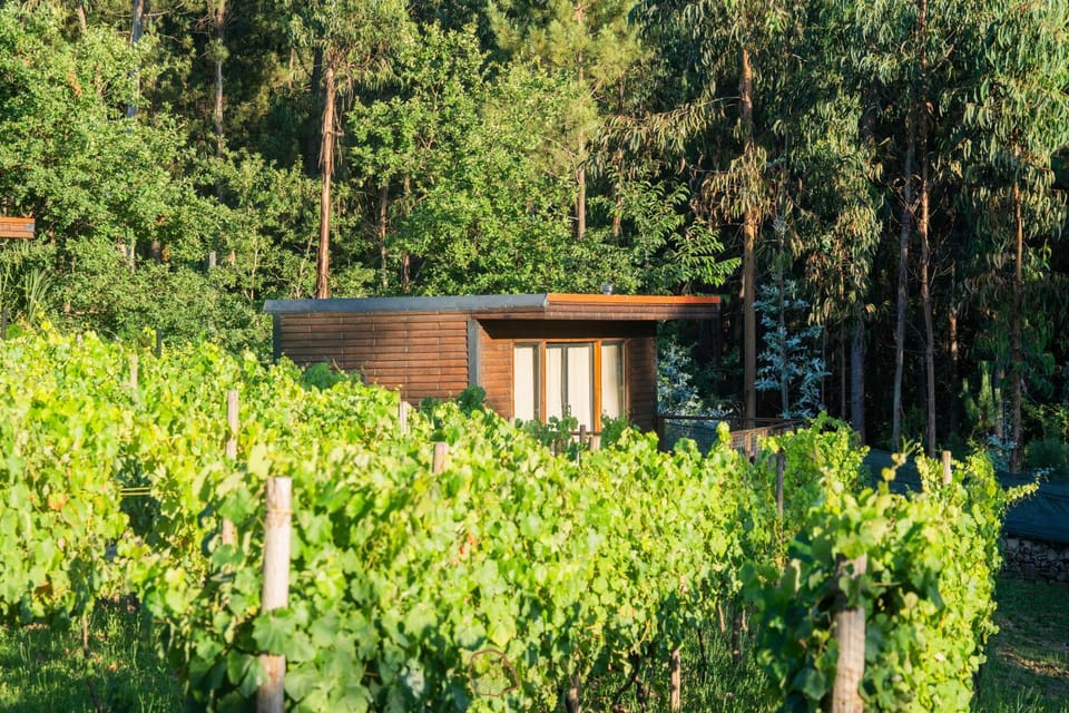 Tapada dos Vales Farm Stay in Porto District