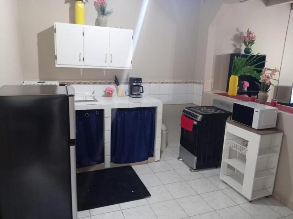 Kitchen or kitchenette, minibar, oven, stove