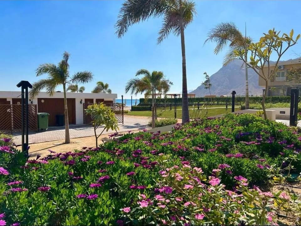 Peaceful Challette Two Bedrooms in Murano El Sokhna Apartment in Egypt
