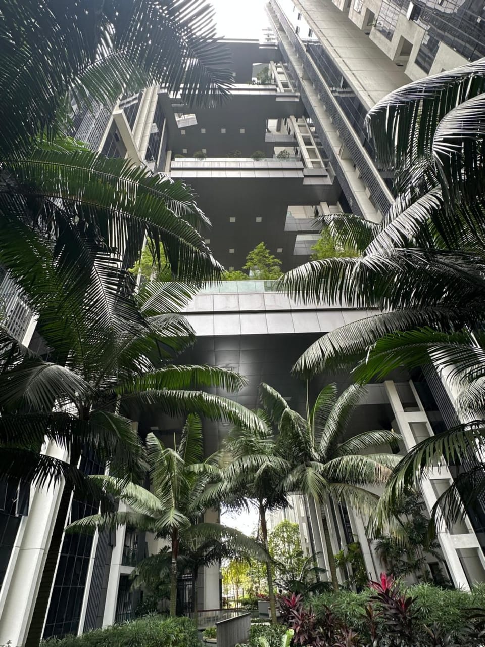 Garden view