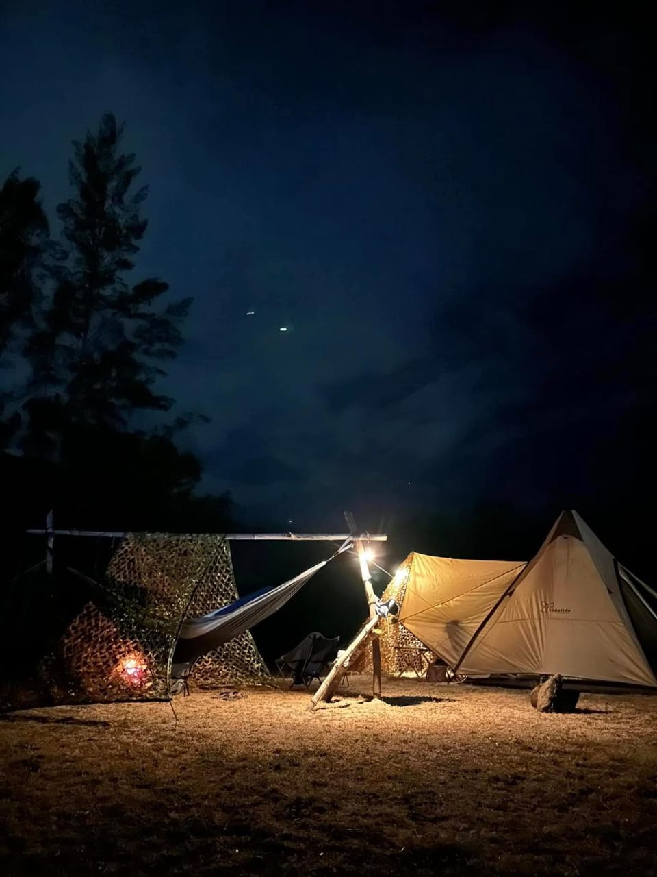 Night