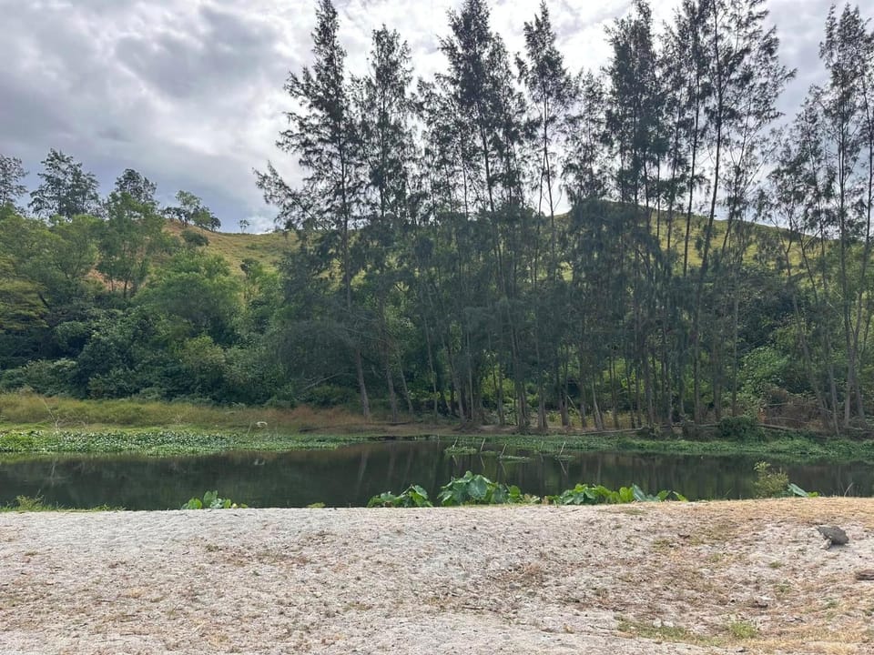 River view