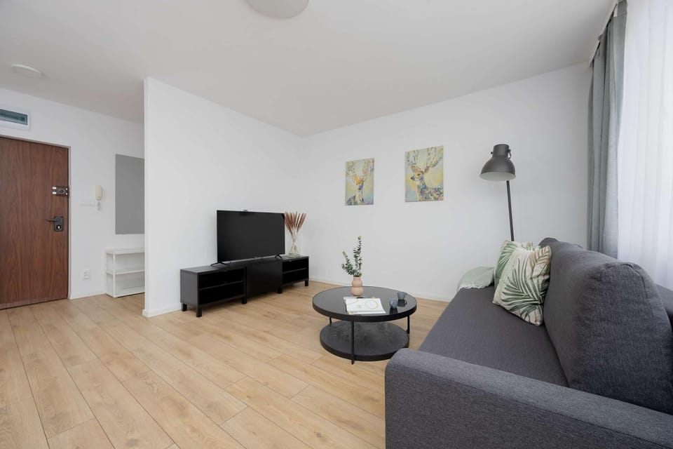 TV and multimedia, Living room, Seating area, Evening entertainment