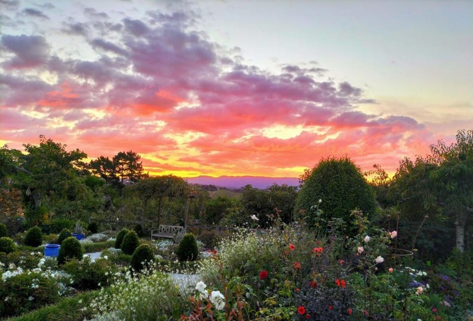 Garden view, Sunset