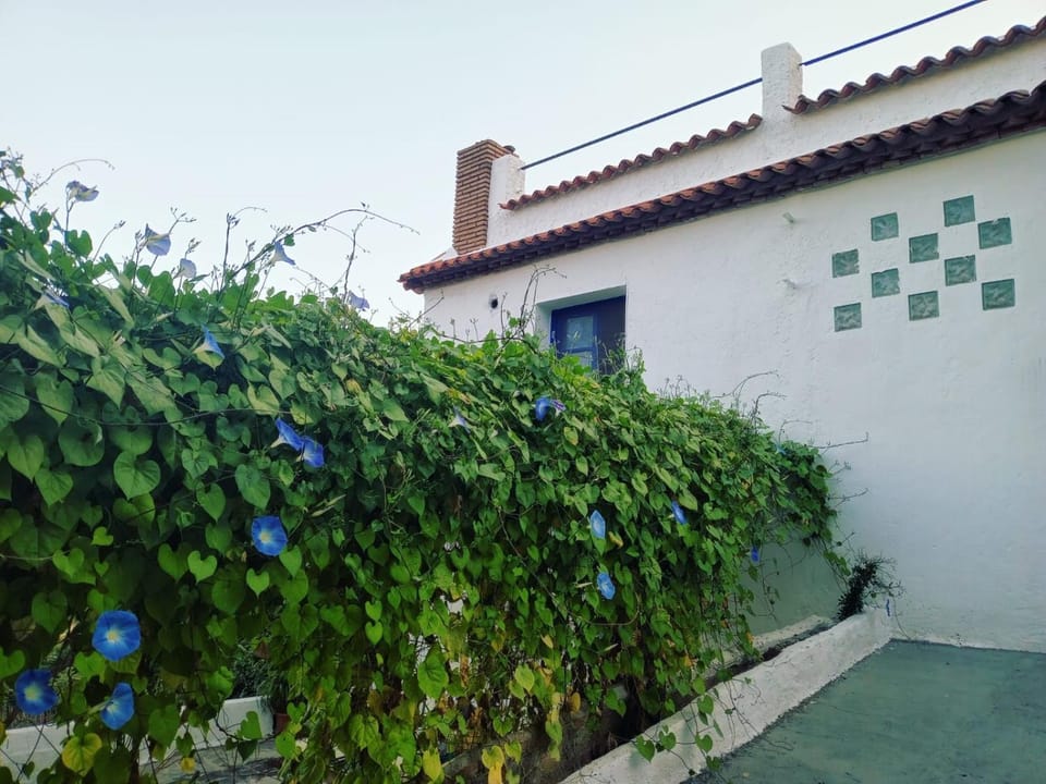 Alojamiento Rural Al Andalus House in Órgiva