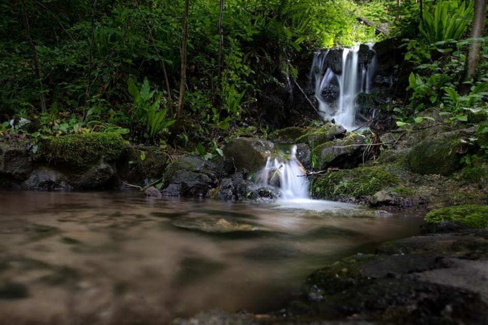 Natural landscape
