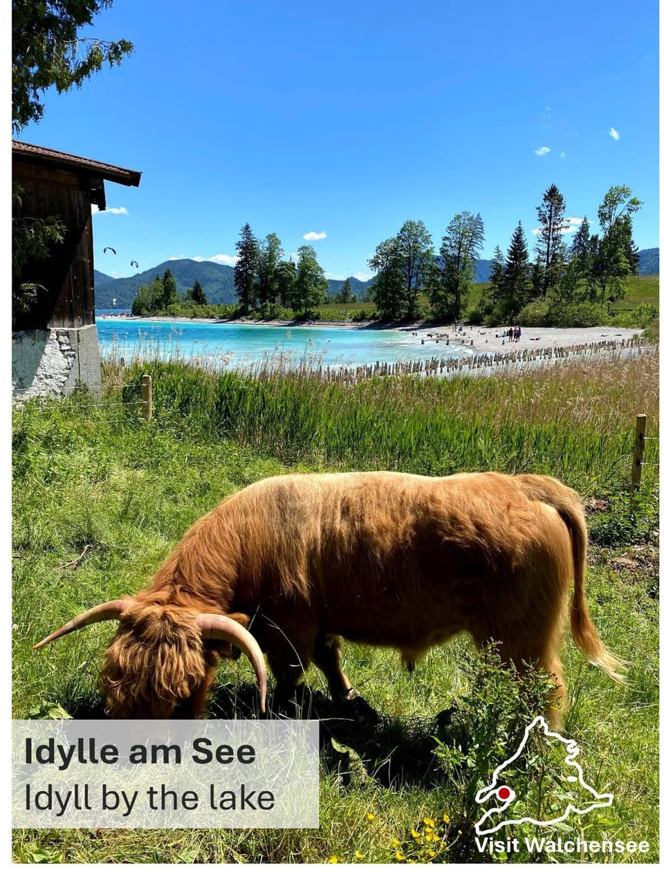 Natural landscape, Animals, Area and facilities