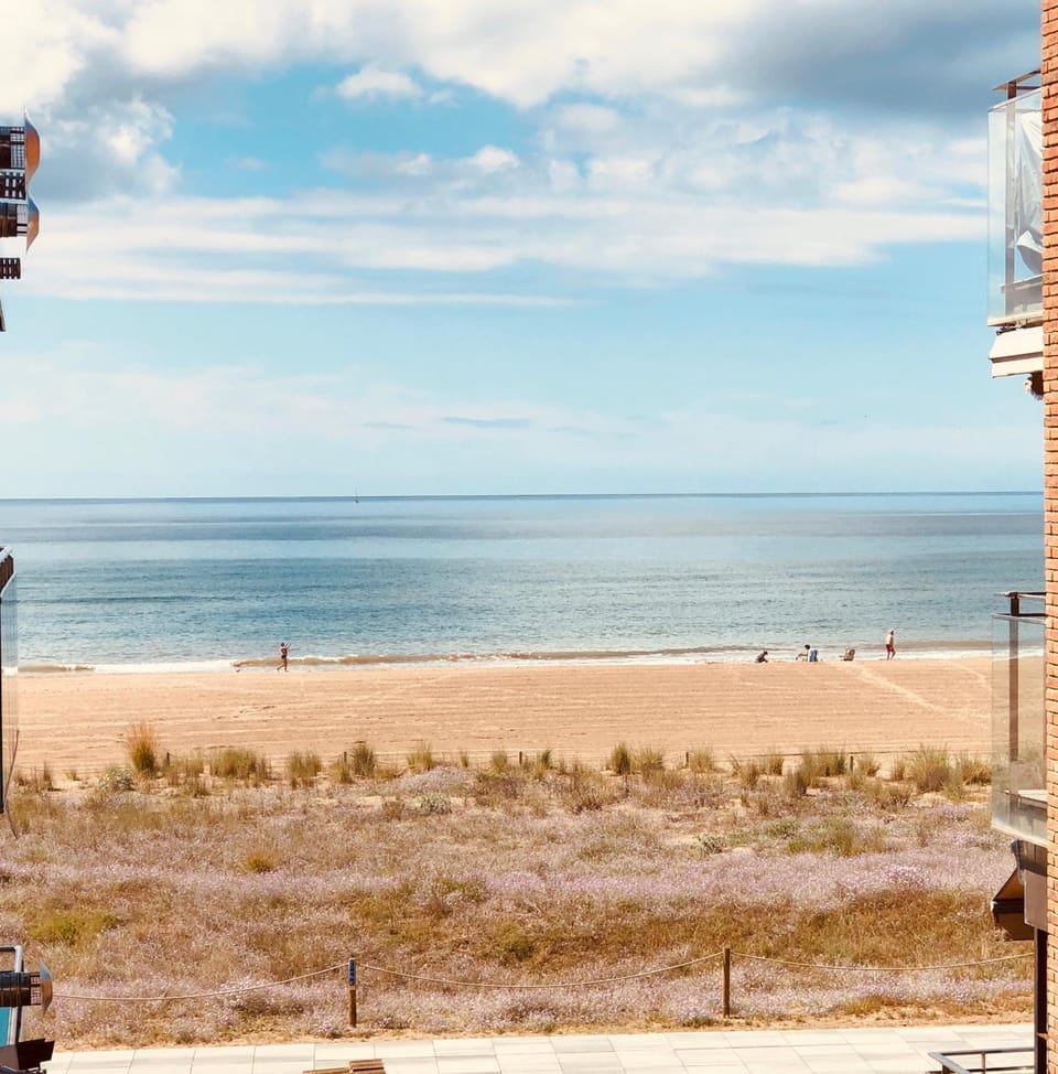 Property building, Sea view