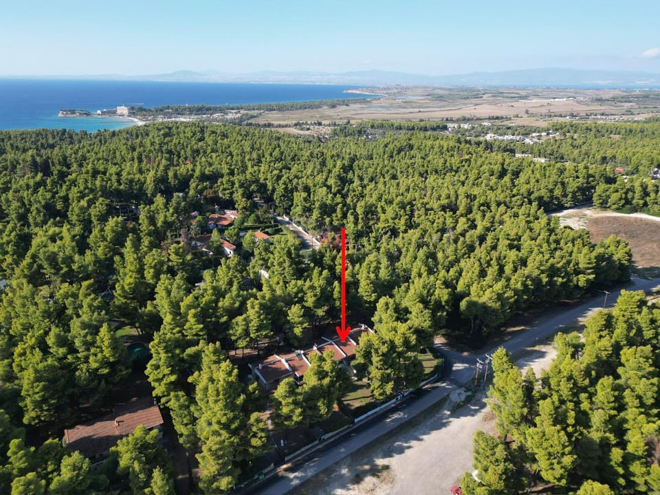 Natural landscape, Bird's eye view, Location
