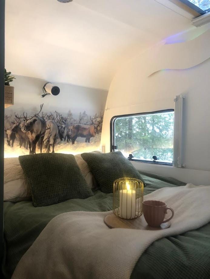 Bed, TV and multimedia, Photo of the whole room