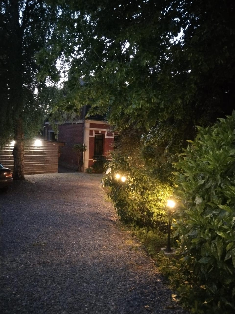 Garden