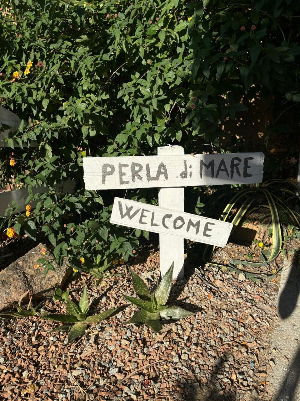 Perla di Mare Apartment in Sardinia