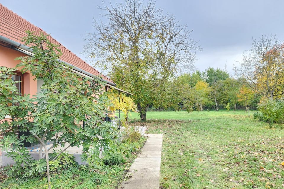Property building, Natural landscape, Garden
