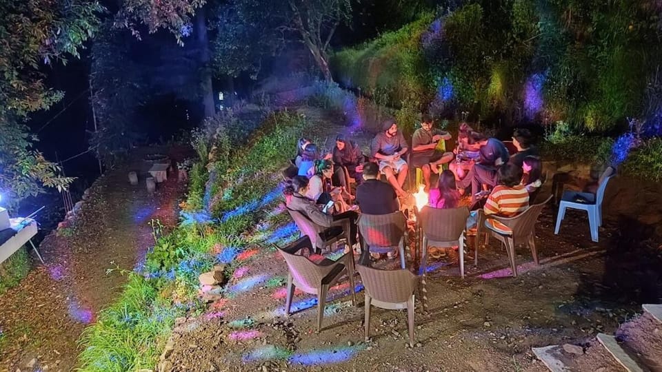 Night, People, Garden, Garden view, group of guests