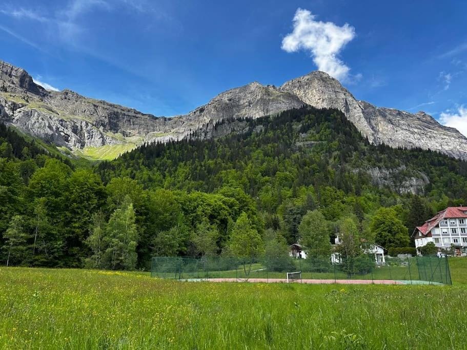 Mont Blanc view on a 40m2 Terrace Apartment in Haute-Savoie