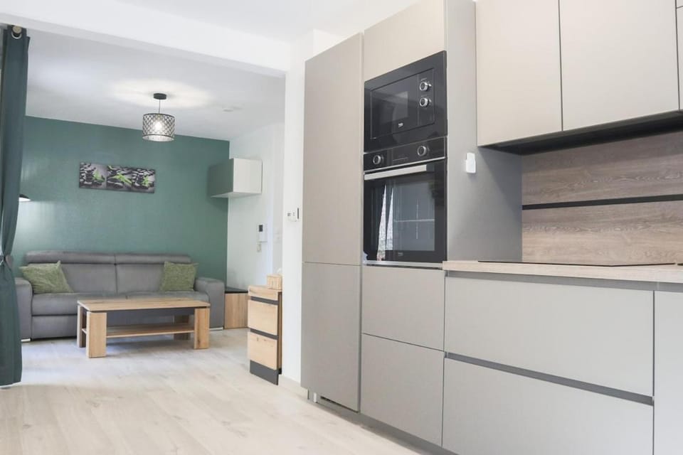 Kitchen or kitchenette, Dining area, oven, stove