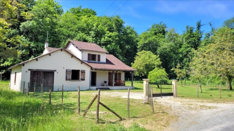 Natural landscape, Garden, Garden view