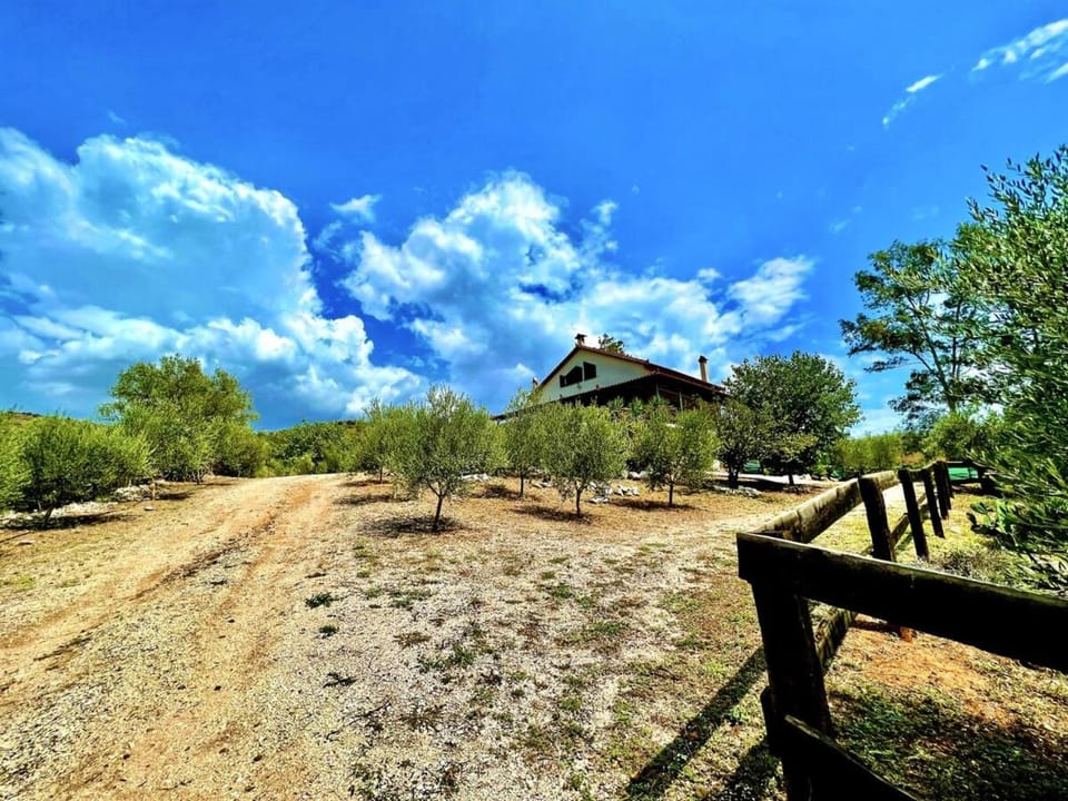 Spring, Day, Natural landscape, Garden