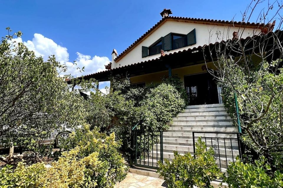 Property building, Spring, Day, Garden, Garden view