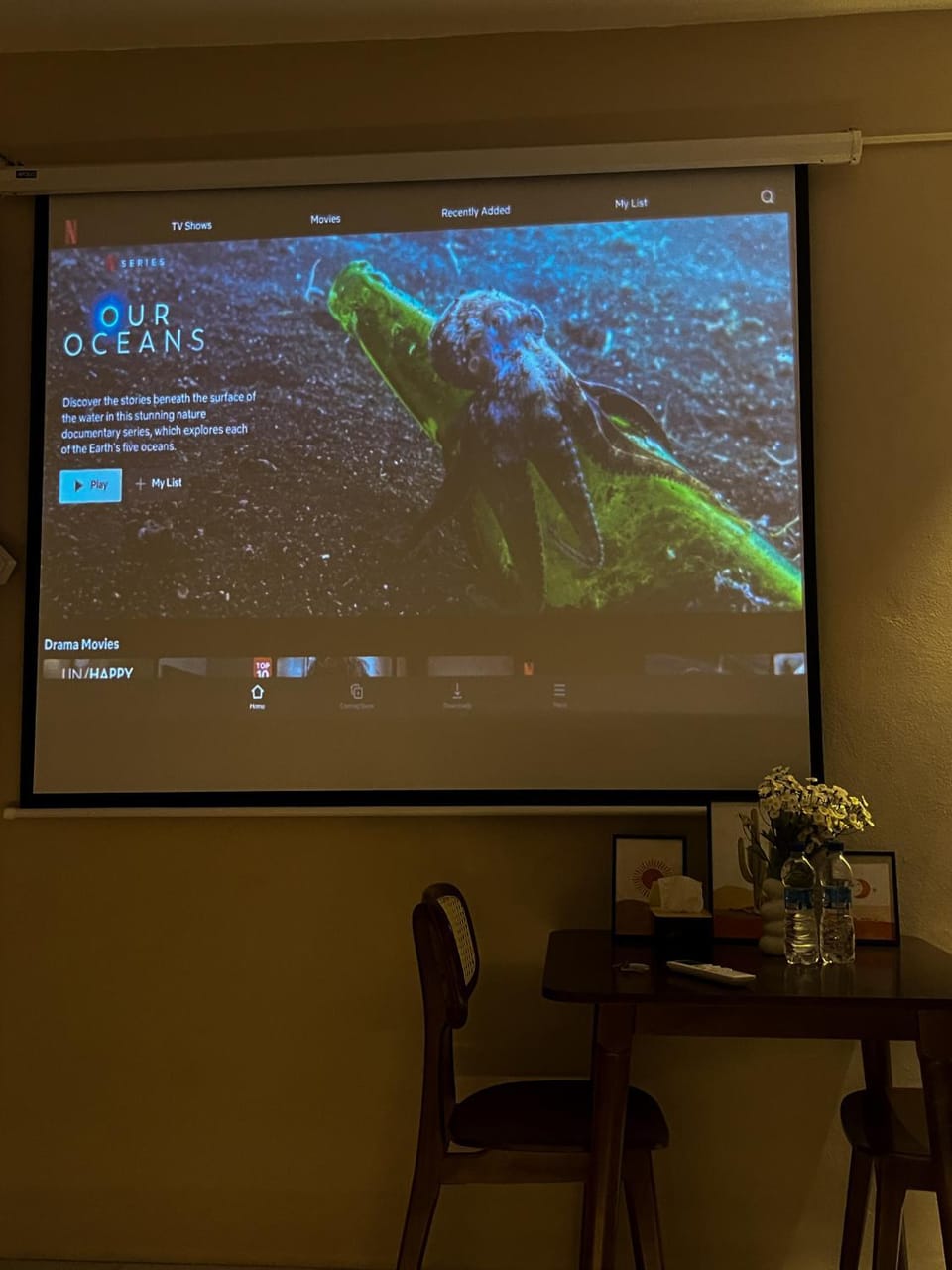TV and multimedia