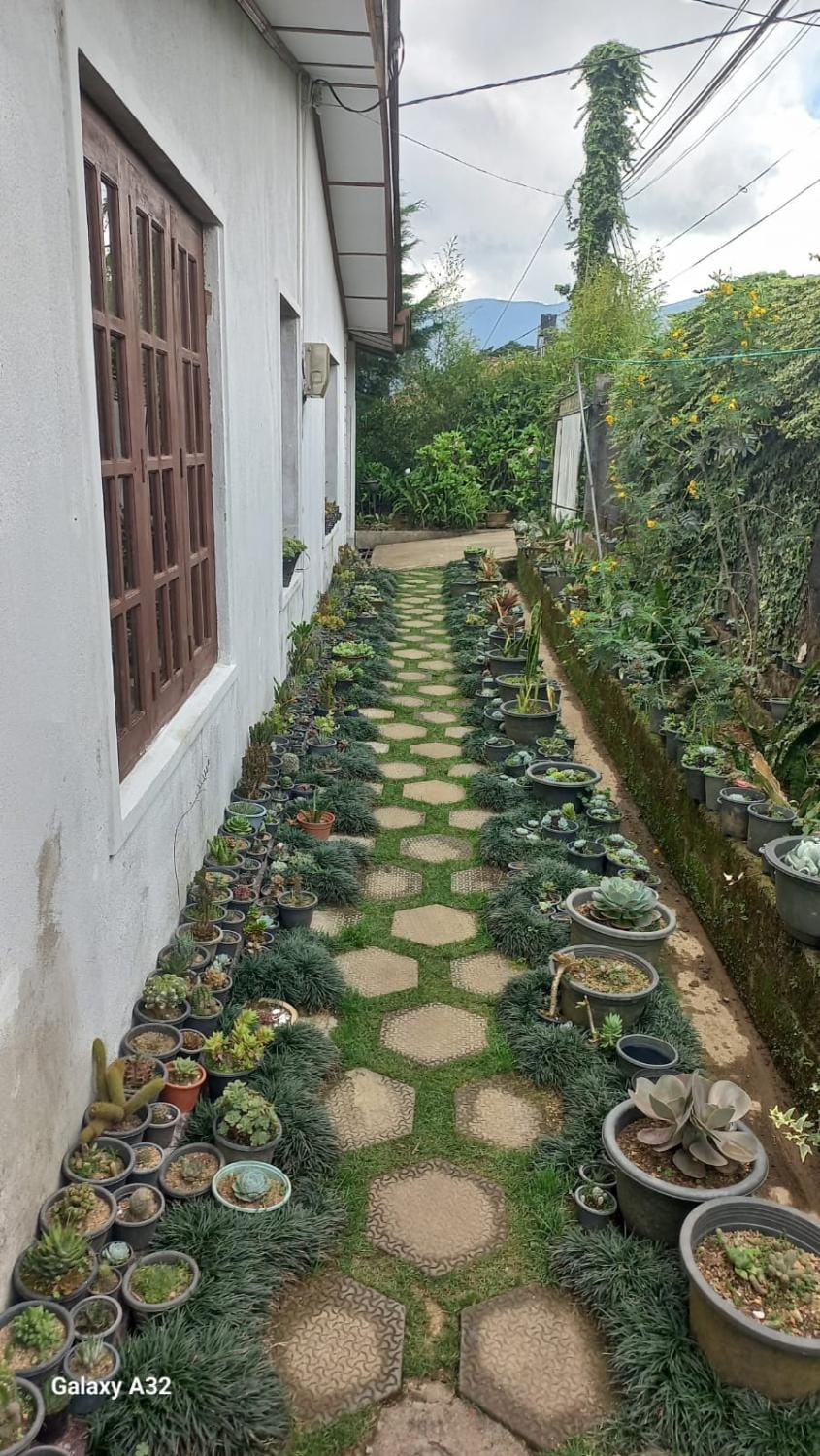 Foliage villa Villa in Nuwara Eliya