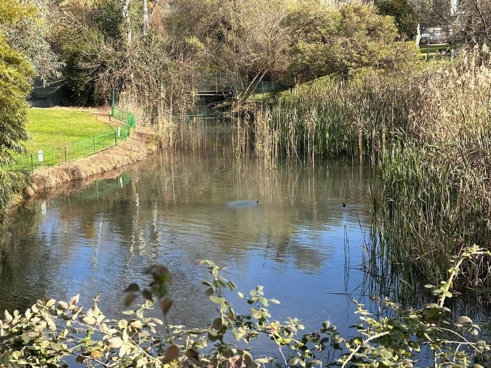 סתלבט בקיבוץ Apartment in North District