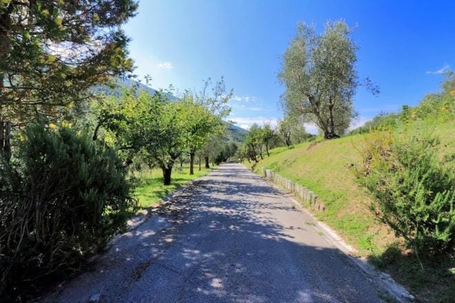 Il Gallo d' Oro - Pulcino Apartment in Lazio