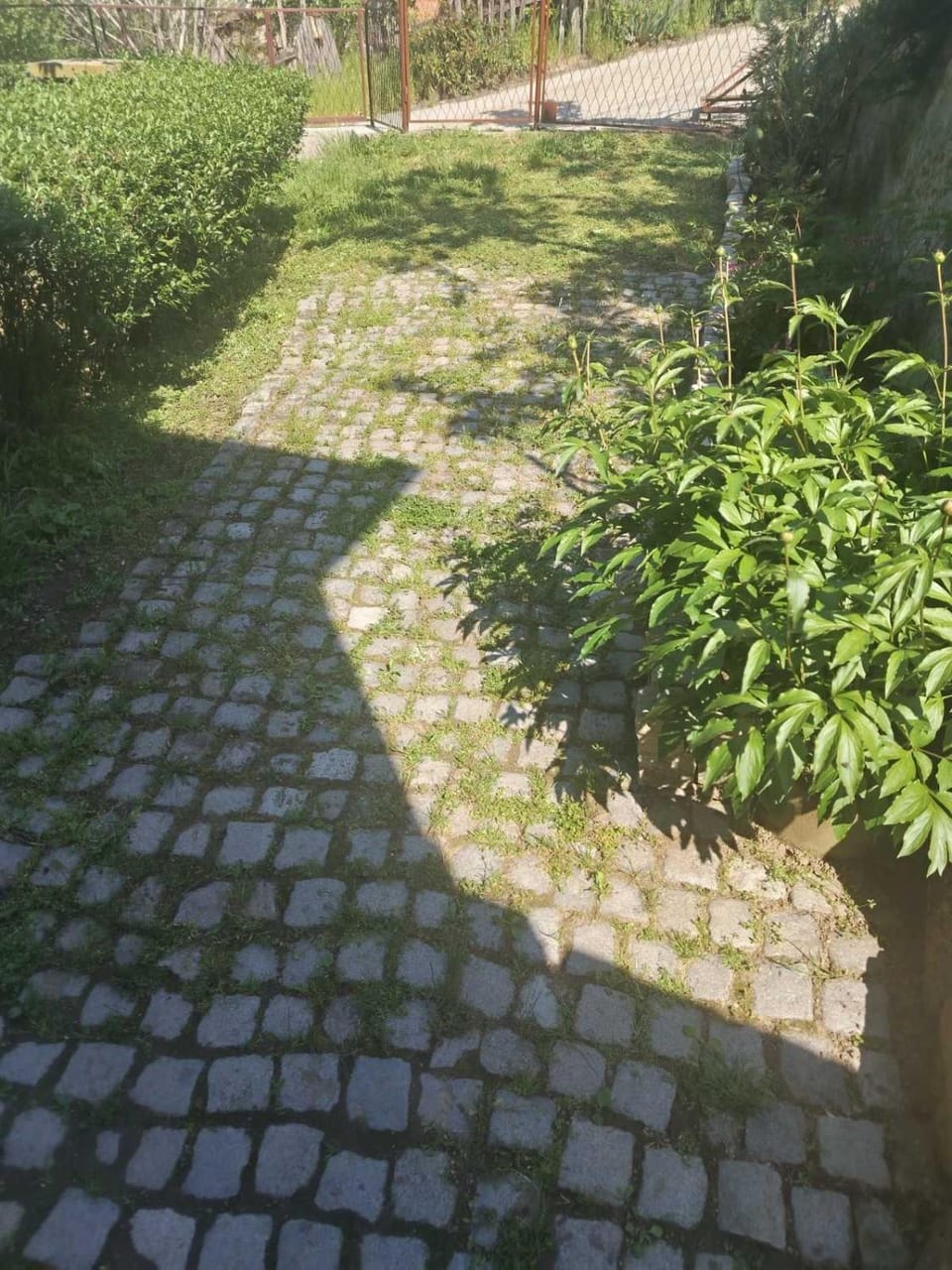 Apartman Poirot Jana Apartment in Serbia