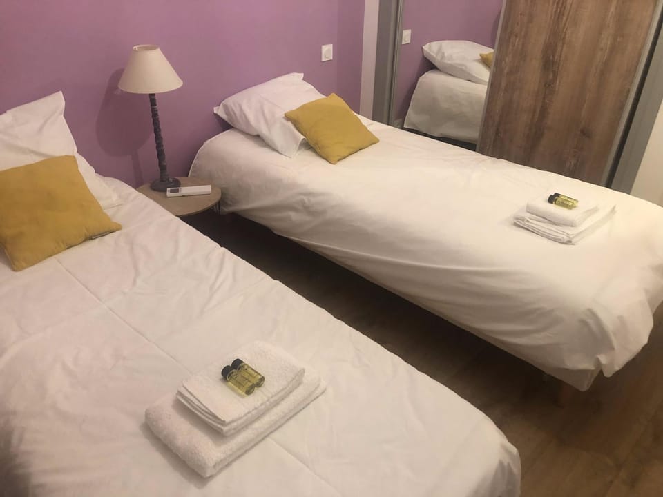 Appartement T3, spacieux, climatisé, cosy Apartment in Chambery