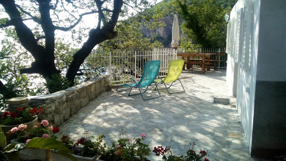 Patio, Balcony/Terrace, Balcony/Terrace, sunbed