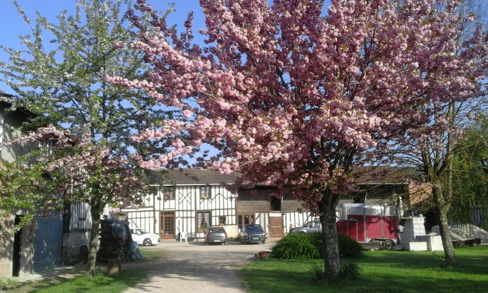 Property building, Spring