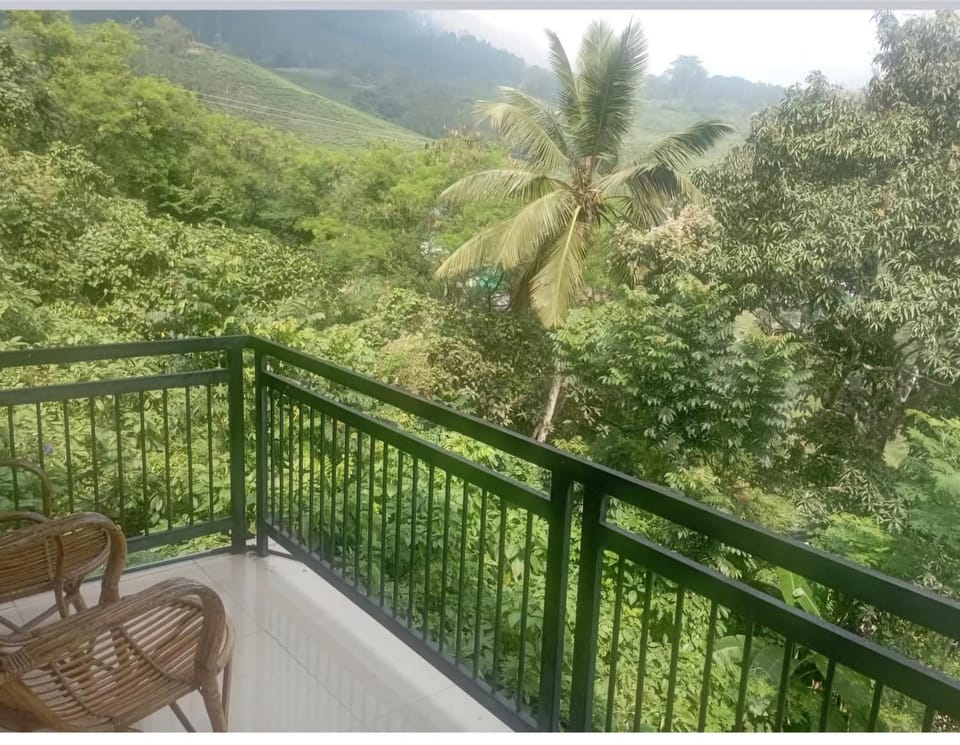 Winter Green Resorts, Munnar Resort in Kerala