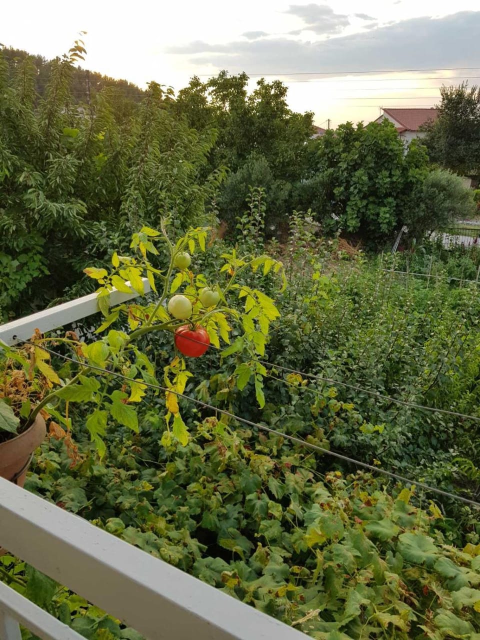 Hariskof garden house Apartment in Decentralized Administration of Macedonia and Thrace