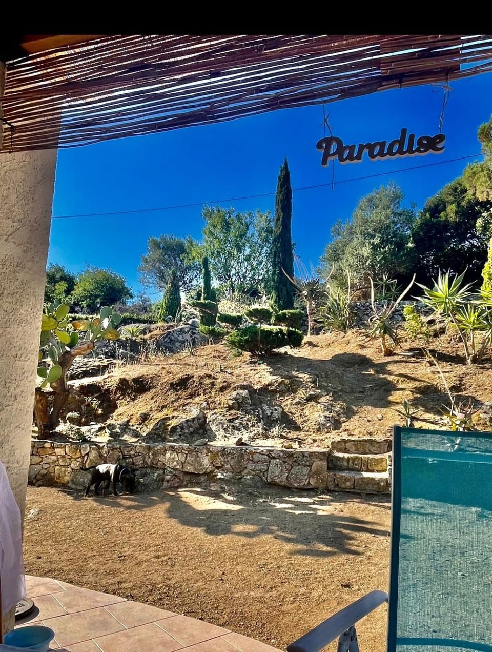 Lovely place with free parking Apartment in L'Île-Rousse