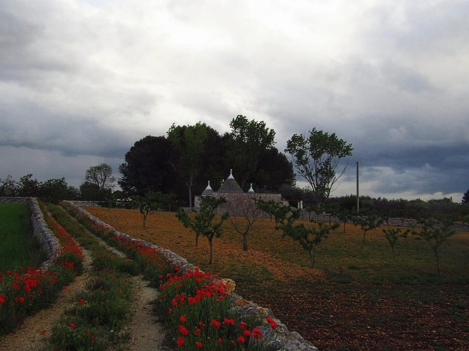 Trullo Dei Nonni House in Province of Taranto