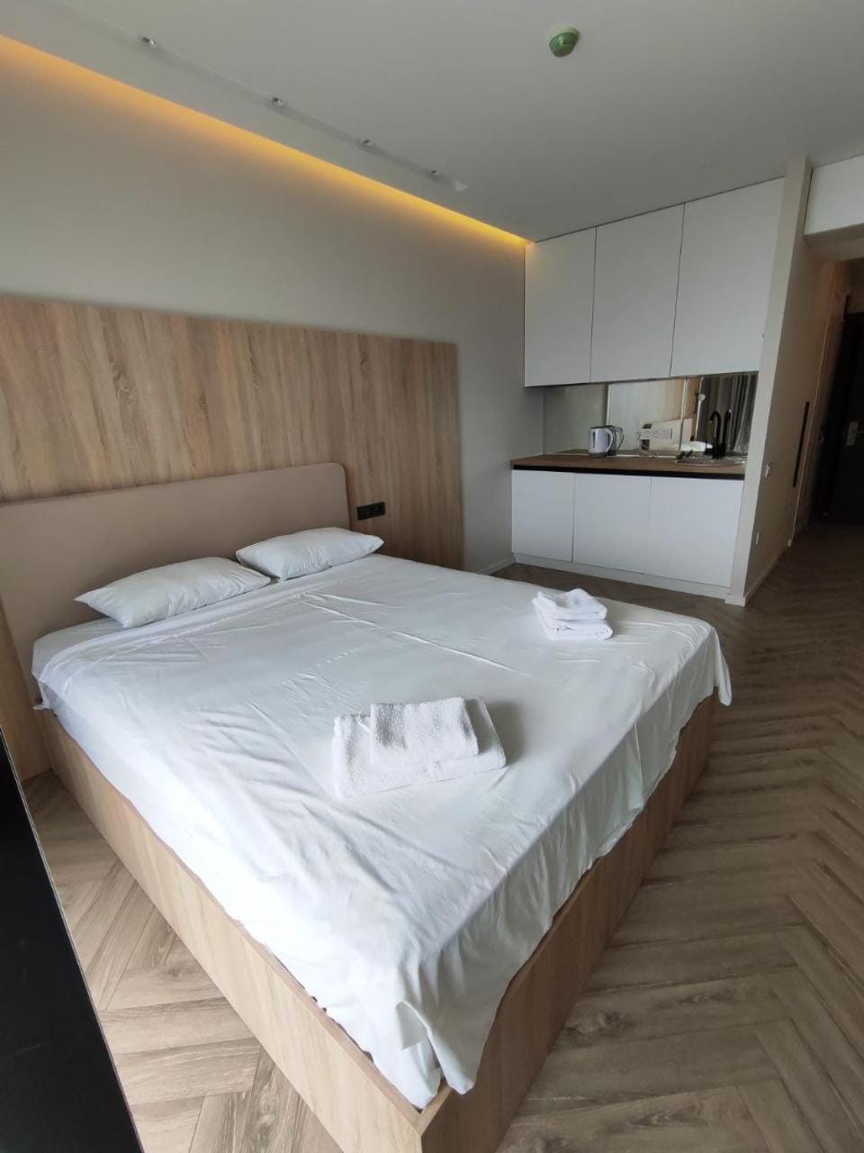 Bed, Kitchen or kitchenette, Photo of the whole room