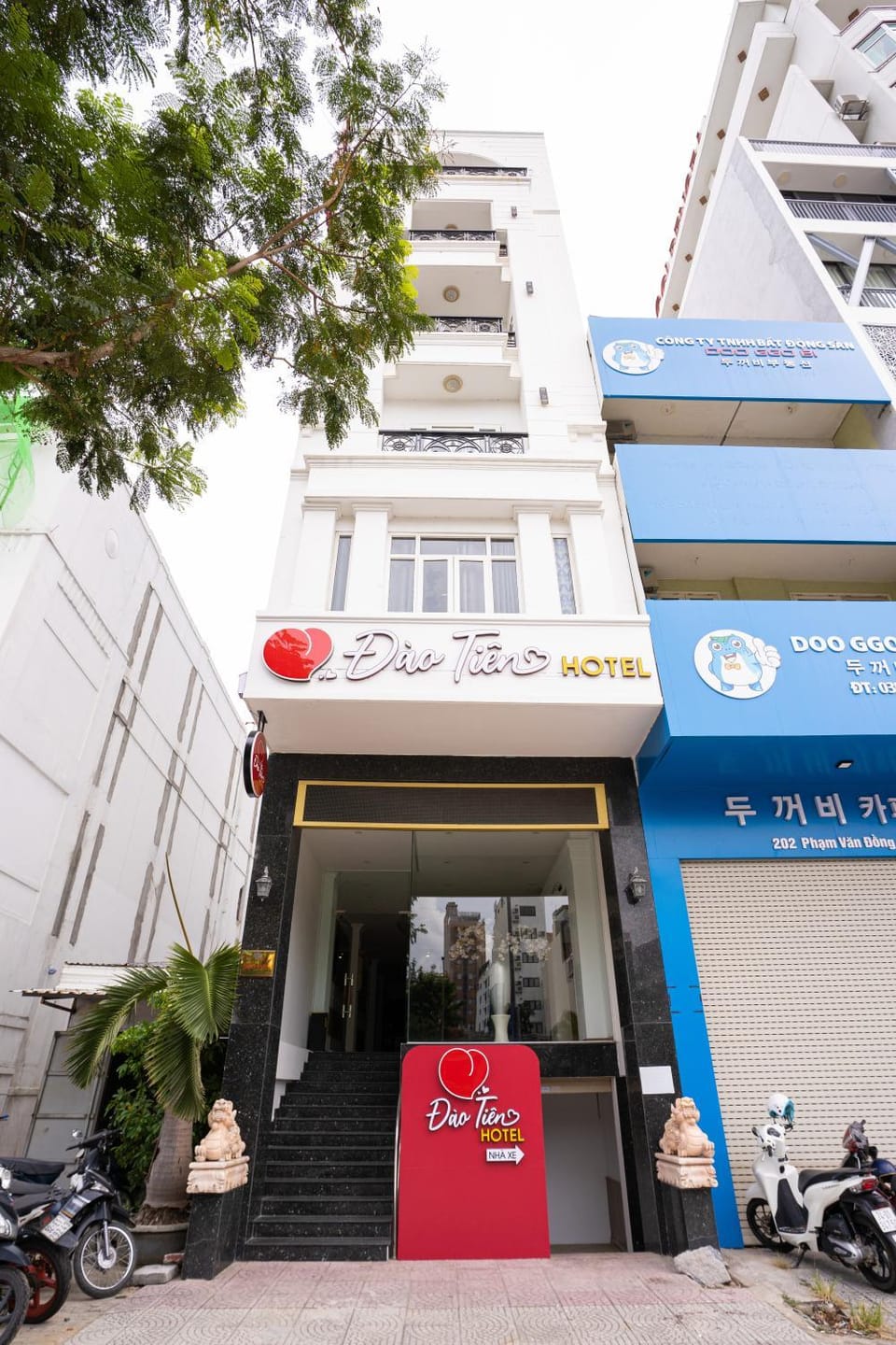 Property building, Day